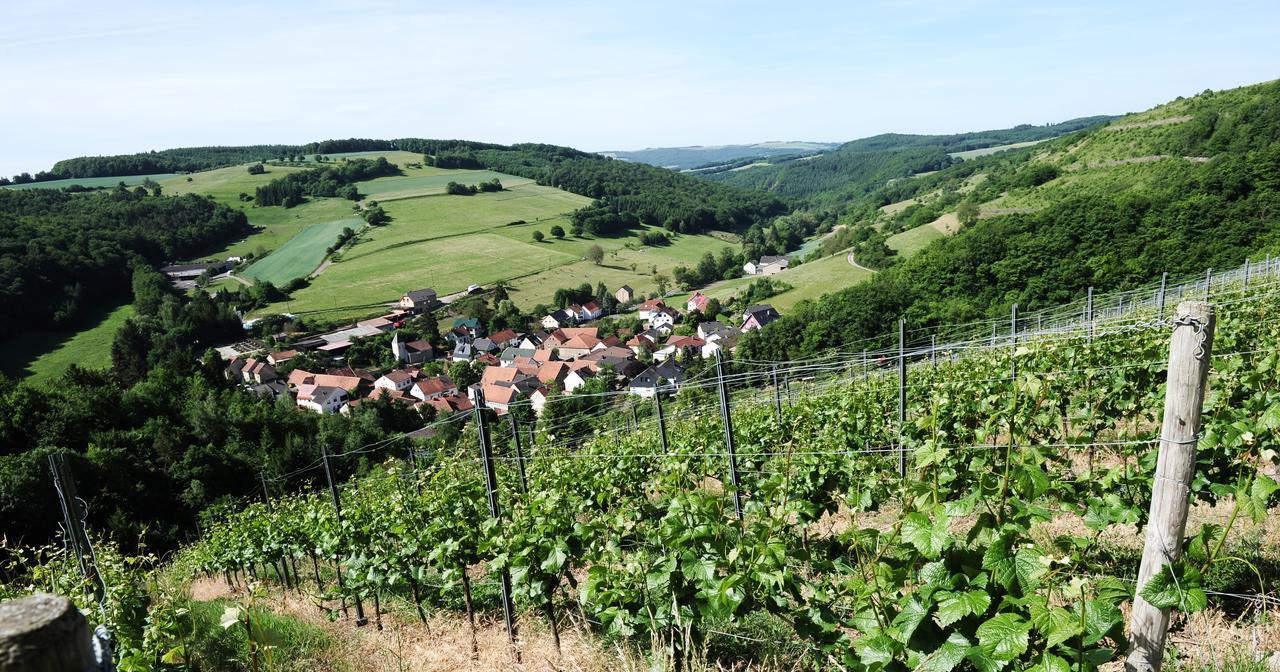 Weingut Hees - Landgasthof Zum Jaeger Aus Kurpfalz Auen Dış mekan fotoğraf