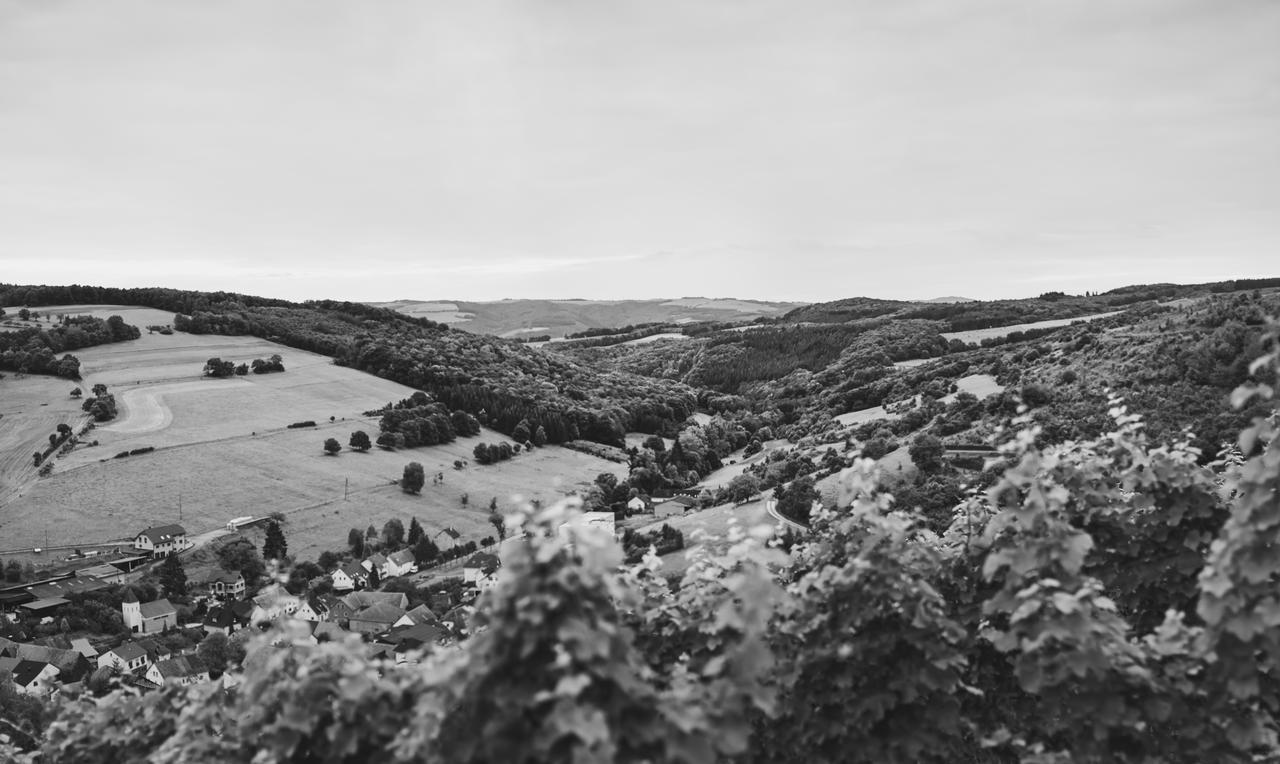 Weingut Hees - Landgasthof Zum Jaeger Aus Kurpfalz Auen Dış mekan fotoğraf