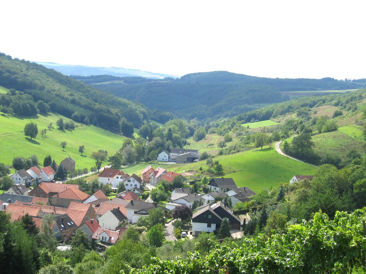 Weingut Hees - Landgasthof Zum Jaeger Aus Kurpfalz Auen Dış mekan fotoğraf